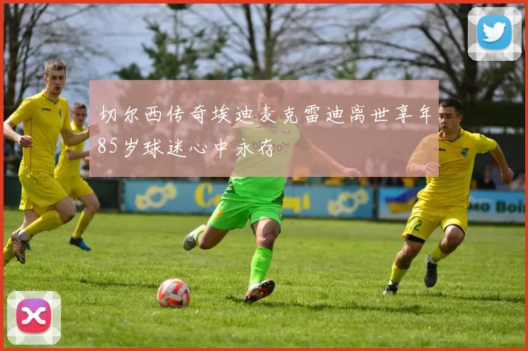 切尔西传奇埃迪麦克雷迪离世享年85岁球迷心中永存