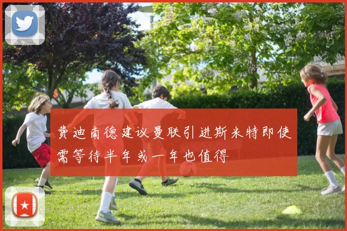 费迪南德建议曼联引进斯米特即使需等待半年或一年也值得