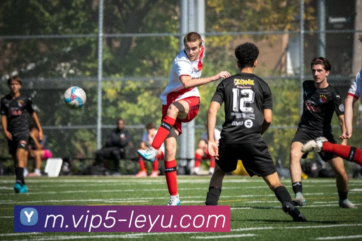 乐鱼体育全站App